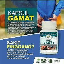 Kapsul Gamat Hni Hpai Kesehatan Motivasi Wajah
