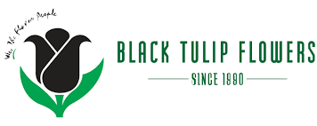 Black tulip flower is the largest growers, suppliers, & distributors of premium quality cut flowers, plants & foliages. Flower Delivery Qatar Best Online Flower Shop Doha Send Flowers To Qatar Black Tulip Flowers Qatar