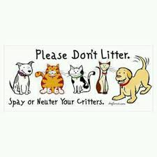 Since 2004, our smoky's spay/neuter clinic has performed more than 85,000 spay and. 15 Spay And Neuter Quotes Ideas Neuter Spay Animal Rescue