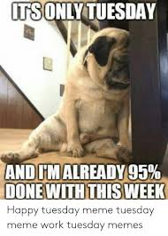 Meme tuesday morning at the beach in ischia italy. Best Good Morning Hilarious Happy Tuesday Meme