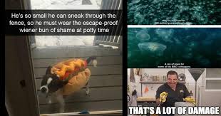 These commonly express love, affection, and. Memebase Wholesome Memes All Your Memes In Our Base Funny Memes Cheezburger