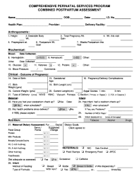 Postpartum Assessment Fill Online Printable Fillable