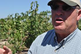 Touring + Tasting Lodi Wine: Day 1