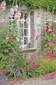 Stockrosen Cottage Garden Design Cottage Garden Beautiful Gardens
