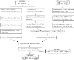 The Flow Chart Of Data Procession Of Hptaa Database