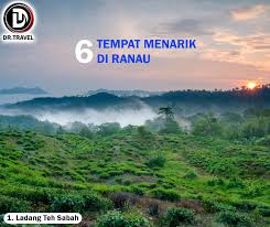 Ladang teh sabah, km 17, jalan ranau/sandakan kampung nalapak beg berkunci no.2, 89309, ranau, sabah. Dr Travel 1 Ladang Teh Sabah Lokasi Kg Nalapak Ranau Waktu Operasi Setiap Hari 08 00 Am 04 30 Pm Info Ladang Teh Ini Merupakan Satu Satunya Lading Yang Mengeluarkan Teh