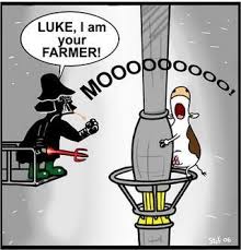 Pin By Patricia P On Funny Star Wars Jokes Star Wars Humor Funny Star Wars Pictures