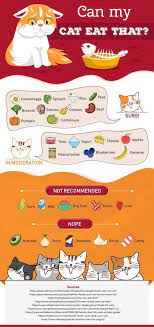 Infographic Which Human Foods Can My Cat Eat Katzenworld In 2020 Human Food For Cats Foods Cats Can Eat Cat Health