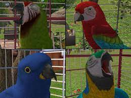 March 2018 in the sims 4 ideas corner. Modthesims Macaw Pack 1 Blue And Gold Greenwing Hyacinth And Military By Sae Sae Sims 4 Pets Sims 2 Pets Sims 4 Custom Content