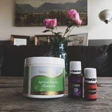 Enter some of your new best tattoo healing friends: Using Essential Oils For Tattoo Aftercare Crazy For Coconuts