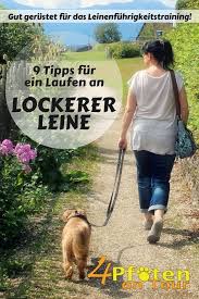 9 Wichtige Tipps Fur Ein Laufen An Lockerer Leine Gesunde Hunde