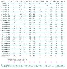 Weight Chart Pounds And Ounces Weights Grams To Ounces Chart