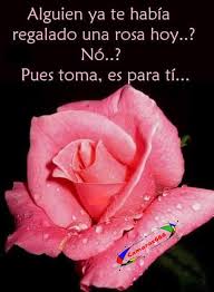 Una Rosa Para Ti Most Beautiful Flowers Flower Photos Rose