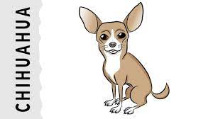 Pin En Videos Animales