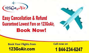 Book Cheap Flight Tickets 123goair Book Cheap Flights Cheap Flights Book Cheap Flight Tickets