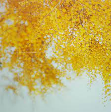 I Really Just Want To Be Warm Yellow Light That Pours Over Everyone I Love Yellow Aesthetic Aesthetic Light Shades Of Yellow