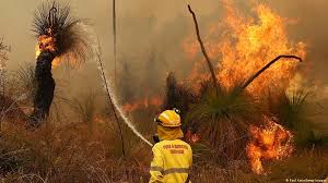 The state has been free of cases for ten months, but this new addition has. Australians Flee Massive Bushfire Near Perth Amid Coronavirus Lockdown News Dw 02 02 2021