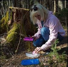 Geocaching Get Answers For One Clue Crossword Now