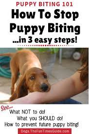 Dog chews, training treats, dog food, joint supplements 13 Puppy Training Ideas Puppy Training Livestock Guardian Dog Livestock Guardian