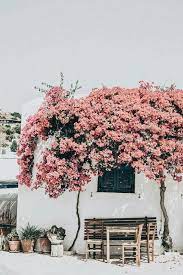 All orders are custom made and most ship worldwide within 24 hours. Aesthetic Pastel And Floral Image 6101472 On Favim Com