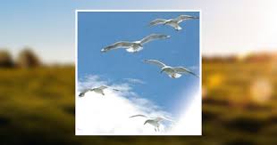 Sandra Kay Smith-Bowyer Obituary January 2, 2017