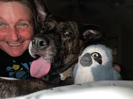 Canadian Thanksgiving Celebration with Dogs