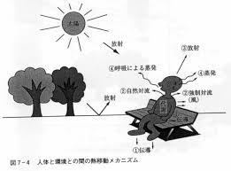 呼吸による蒸発熱 ① 作業強度が高い： 代謝率(m)↑ ② 厚着をする： 対流熱伝達(c) ↓，蒸発熱(e)↓ ③ 気温が高い：対流熱伝達(c) ↓ ，呼吸対流熱(c res)↓ ④ 屋外で日射：流入のため輻射熱(r)はマイナス値 ⑤ 湿度が高い： 蒸発 Http Www Netsubussei Jp Group Skmorooka Pdf