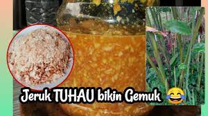 Tuhau merupakan, salah satu makanan tradisional, yang paling popular di sabah.tuhau secara saintifiknya, dikenali sebagai etlingera coccinea. Resepi Jeruk Tuhau Makanan Tradisi Sabah Youtube
