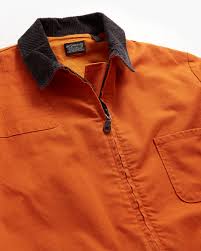 Image result for Sutera levis