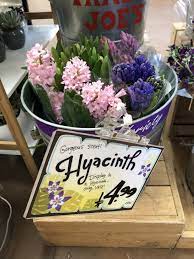 With flower arrangements under $5, trader joe's has our hearts in full bloom. Grocery Store Staples Series Trader Joe S Paleomg