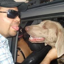 Abelardo Martinez (@abmaral)