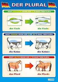 Amazon Com Der Plural Language Learning Posters