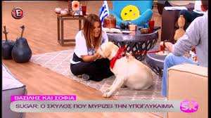 «εγώ είμαι ένας άνθρωπος που πιστεύω πολύ στον θεό. Kalesmenoi Sthn Ekpomph Ths Natalias Germanoy Happy Dogs