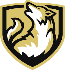 Pikpng encourages users to upload free artworks without copyright. In That Case Please You The Secondary Logo Wolves Esports Clipart Large Size Png Image Pikpng