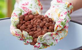 Blahton Drainage Mit Lehmkugelchen Pflanzen Winterharte Balkonpflanzen Balkon Pflanzen