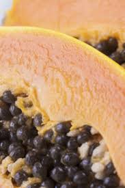 Papaye Papaye Alimentation Alimentation Et Nutrition