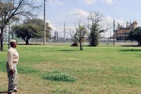 Image result for Green 1990 Houston Light and Power