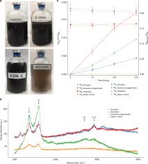 Karena bambang mengendarai sepeda motor dengan kecepatan 30 km/jam, maka jarak 60 km dapat ditempuh dengan waktu 2 jam. Extracellular Electron Transfer Dependent Anaerobic Oxidation Of Ammonium By Anammox Bacteria Nature Communications
