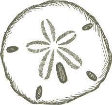 Sand Dollar Free Images At Vector Clip Art Online Sand Dollar Tattoo Clip Art Borders Clip Art