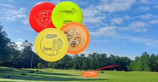 Image result for disc golf