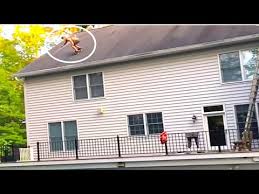 Great for windows, linux, android, macos operating systems. Travis Pastrana S House