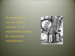 Chipko movement environmental studies grade 4 periwinkle, what is chipko movement history causes and outcomes of chipko movement explained upsc ias, what is chipko movement all about. The Chipko Movement Ppt Download