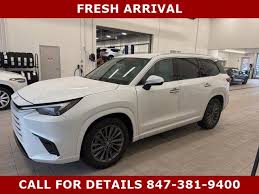 Image result for Wind Chill 2024 TX