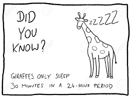 Animals are multicellular organisms that play an integral role in nature. Animal Facts About Giraffe Fun Trivia Cartoon Doodle Concept Newspaper Funny Comic Fact Royalty Free Cliparts Vectors And Stock Illustration Image 64860644