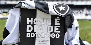 Chayene 6 goals, rafael navarro 5 goals, pedro castro 3 goals, marco antonio 3 goals, matheus 3 goals, felipe ferreira 3 goals, gilvan 1 goals, rickson 1 goals, luis oyama 1 goals. Botafogo De Futebol E Regatas