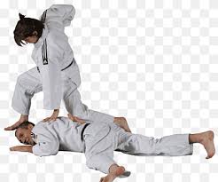 Choose from 80+ judo graphic resources and download in the form of png, eps, ai or psd. Panda Judo Club Png Images Pngwing