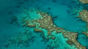 Holiday In Queensland Travel Fun Great Barrier Reef Wonders Of The World