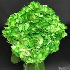 This is the official copyrighted photo of online flower search llc and may not be copied, downloaded or otherwise reproduced without written approval from online. Festive Flower Festiveflowerco Twitter