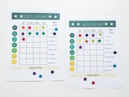 Star Chart And Wallet Chore System For Young Kids One