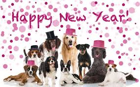 80 Happy New Year Wallpapers 2020 To Wish Iphone2lovely Happy New Year Funny Happy New Year Dog Happy New Year 2019